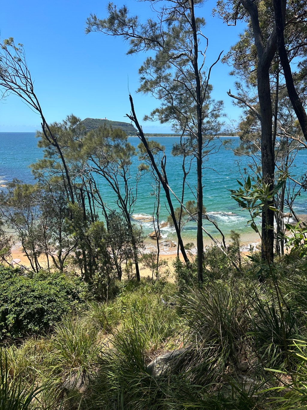 Ku-ring-gai Chase National Park, Sydney&nbsp;sunset